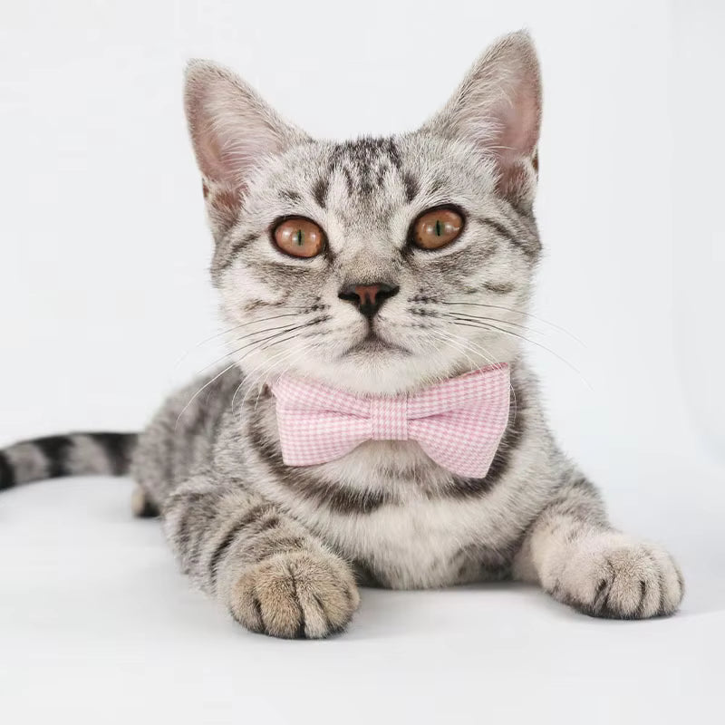 Fetch Peak Bow Tie Cat Collar